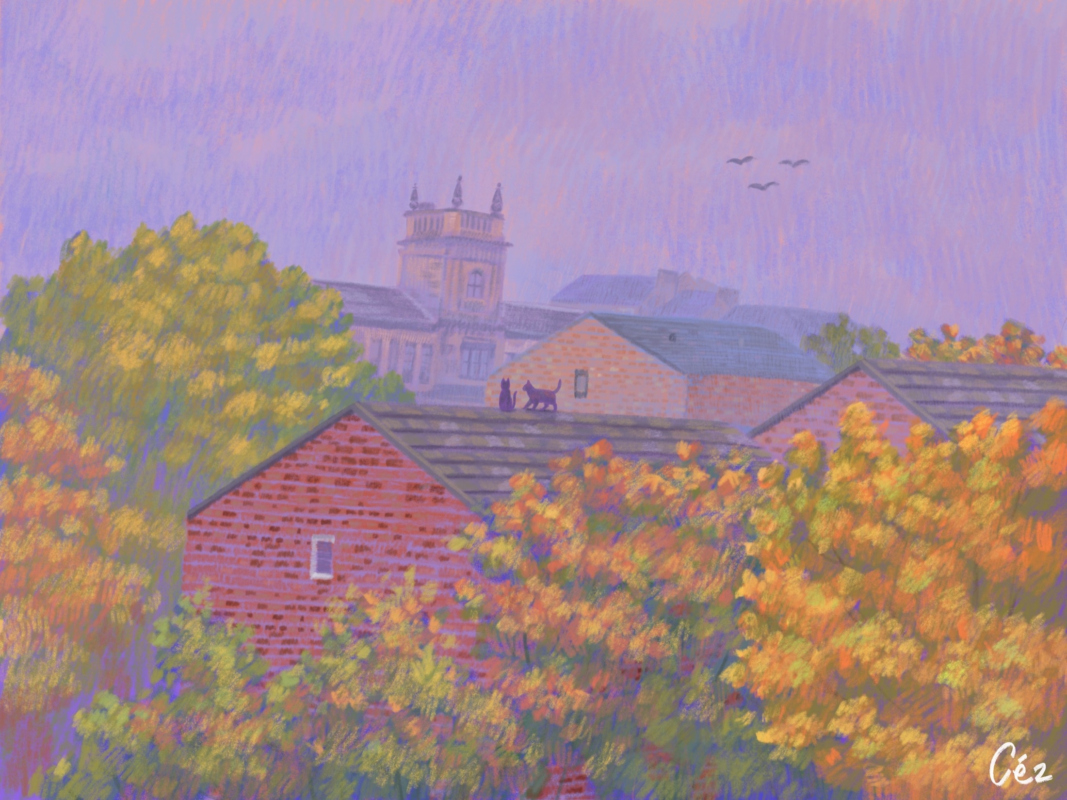 Studio Cez archive image.